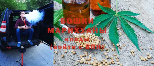стаф Балахна