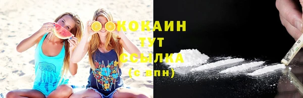 стаф Балахна