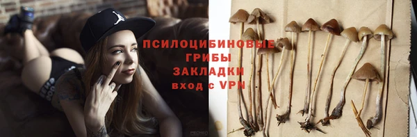 стаф Балахна