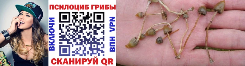 mega вход Белово Галлюциногенные грибы GOLDEN TEACHER закладка